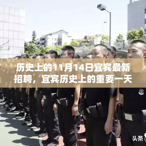 宜賓歷史上的重要一天，揭秘十一月十四日最新招聘及其深遠影響