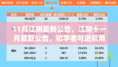 江陰十一月最新公告發(fā)布，初學(xué)者與進(jìn)階用戶指南詳解