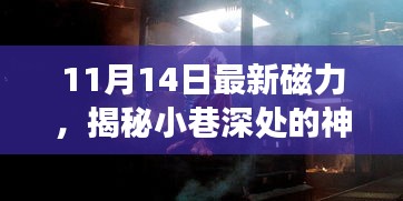 揭秘神秘寶藏，11月14日最新磁力小巷小店探秘之旅