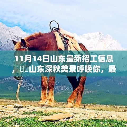 山東最新招工信息帶你領(lǐng)略深秋美景的心靈之旅啟程招募！