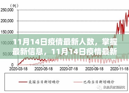 11月14日疫情最新人數(shù)查詢指南，掌握最新信息