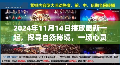 探尋自然秘境，心靈之旅啟程于2024年11月14日