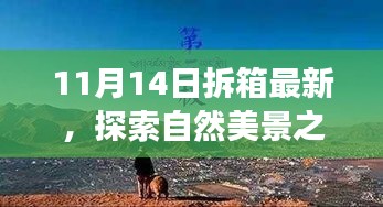 11月14日最新拆箱體驗(yàn)，自然美景之旅，尋找內(nèi)心的寧?kù)o與喜悅