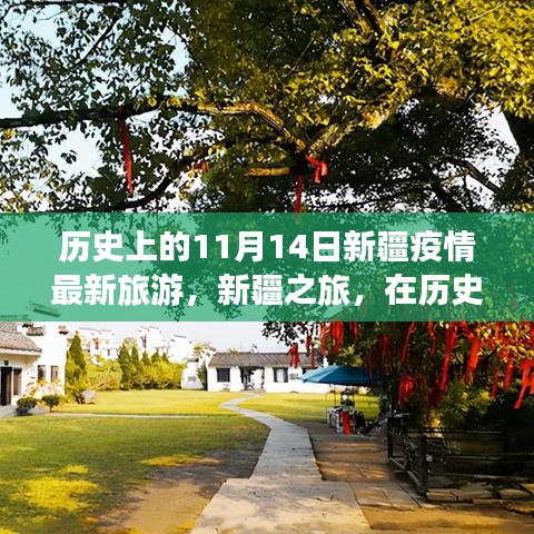 歷史的11月14日，新疆疫情最新旅游動態(tài)與心靈之旅的寧靜與奇跡探尋