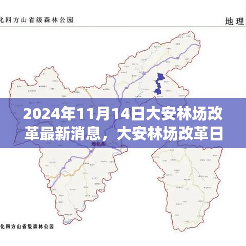 大安林場改革故事會，最新消息與溫馨改革之旅（2024年11月14日）