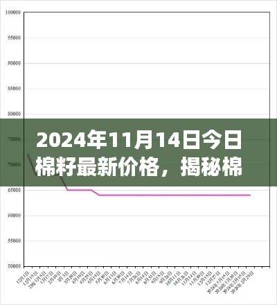 揭秘棉籽市場(chǎng)走勢(shì)，最新價(jià)格動(dòng)態(tài)分析與預(yù)測(cè)（2024年11月14日）