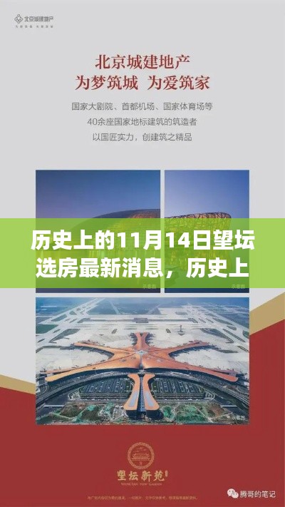 歷史上的11月14日，望壇選房新篇章開啟，變化成就奇跡之旅的最新消息