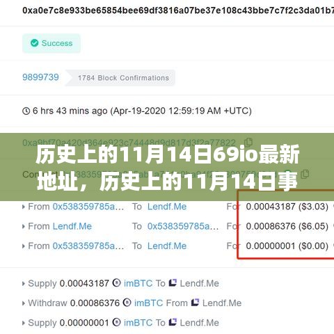 歷史上的11月14日事件與69io最新地址探索，指南及發(fā)掘方法