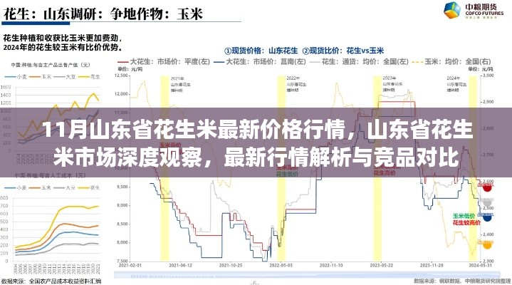 11月山東省花生米最新價(jià)格行情，山東省花生米市場(chǎng)深度觀察，最新行情解析與競(jìng)品對(duì)比