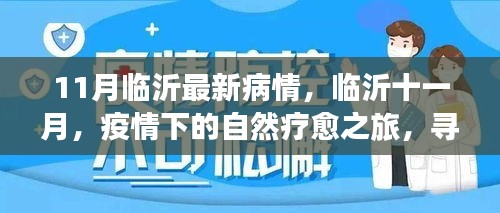 臨沂十一月疫情下的自然療愈之旅，尋找內(nèi)心的寧靜港灣