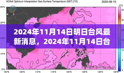 臺(tái)風(fēng)最新消息深度評(píng)測(cè)，特性、體驗(yàn)、競(jìng)品對(duì)比與用戶分析（2024年臺(tái)風(fēng)動(dòng)態(tài)）