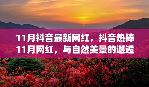 抖音熱捧的11月網(wǎng)紅，與自然美景的邂逅與內(nèi)心寧靜之旅