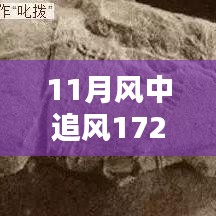 揭秘，風(fēng)中追風(fēng)最新裝備的時(shí)代地位與影響，逐風(fēng)而行，價(jià)值高達(dá)172萬(wàn)裝備重磅登場(chǎng)！