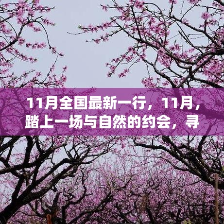 11月踏自然之旅，內心的桃花源探尋記