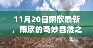 雨欣的11月20日奇妙探險，自然之旅尋找心靈寧靜與笑聲