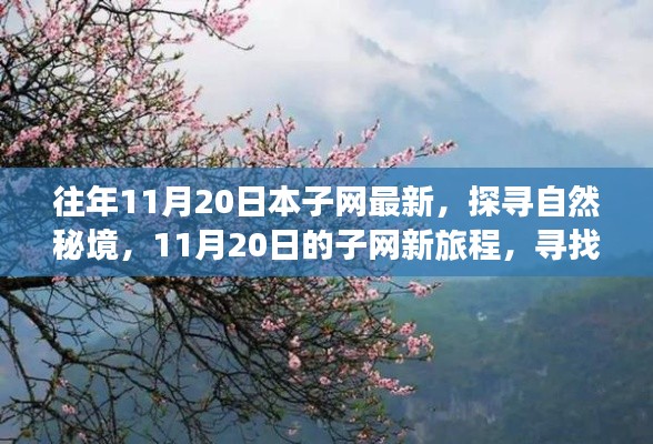 往年11月20日本子網(wǎng)最新，探尋自然秘境，11月20日的子網(wǎng)新旅程，尋找內(nèi)心的桃花源