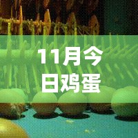 11月雞蛋價(jià)格最新行情解析，多方觀點(diǎn)交織的思考