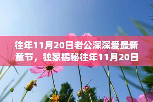 往年11月20日老公深情與高科技融合，全新智能伴侶揭秘，顛覆想象！