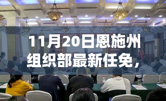 恩施州組織部最新任免動態(tài)解析及用戶群體分析，特性、體驗與競品對比報告