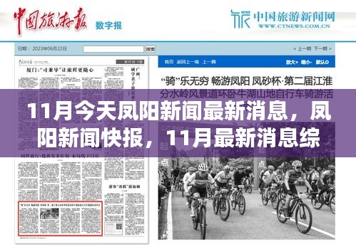 鳳陽新聞快報，11月最新消息綜述