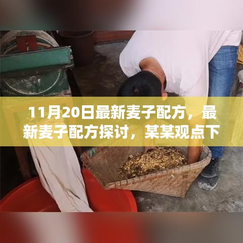 最新麥子配方探討，某某觀點下的分析與個人立場分享（11月20日更新）