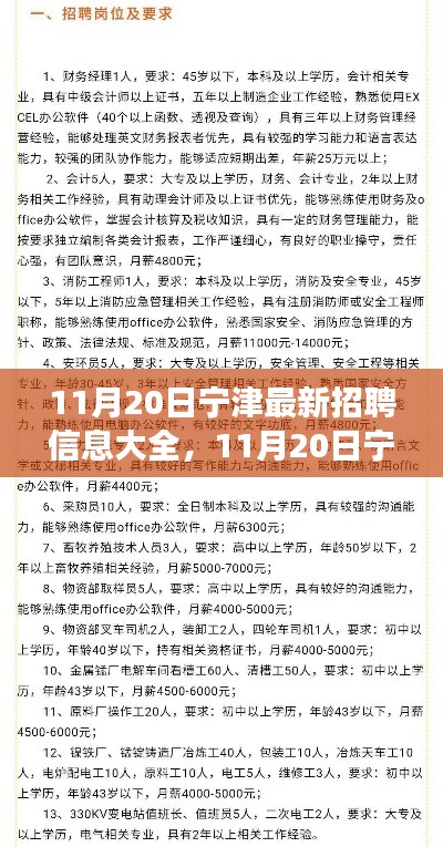 11月20日寧津最新招聘信息匯總，全面解讀招聘平臺特性與體驗(yàn)