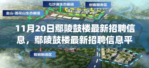 11月20日鄢陵鼓樓最新招聘信息及平臺深度評測，特性、體驗與用戶洞察