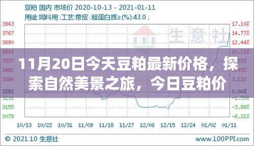 啟程尋找內(nèi)心平和，今日豆粕最新價(jià)格與自然美景之旅的寧靜故事