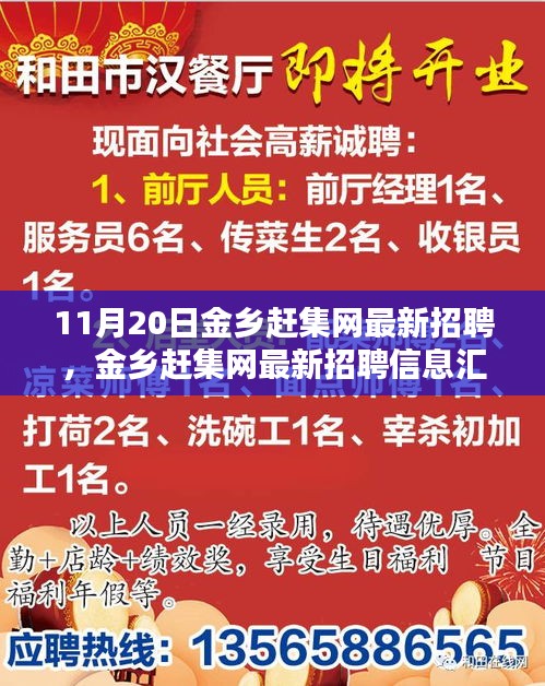 11月20日金鄉(xiāng)趕集網(wǎng)最新招聘匯總，熱點崗位解析與招聘信息