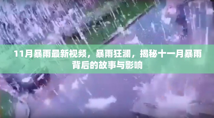 揭秘十一月暴雨背后的故事與影響，暴雨狂瀾最新視頻報(bào)道