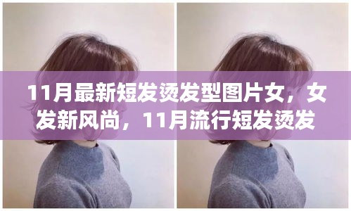 11月流行女發(fā)短燙發(fā)，全新風(fēng)尚與全攻略圖片欣賞