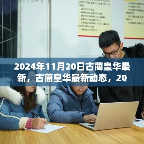 古藺皇華最新動態(tài)深度解析，2024年11月20日報告