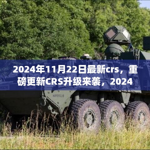 重磅更新CRS升級來襲，解讀最新政策與應(yīng)對策略，2024年CRS新動向解析