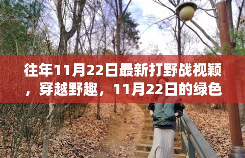 往年11月22日最新打野戰(zhàn)視穎，穿越野趣，11月22日的綠色冒險之旅，尋找內(nèi)心的寧靜與平和