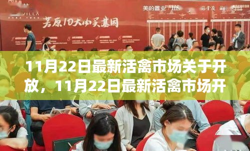 11月22日活禽市場開放動(dòng)態(tài)，復(fù)蘇與機(jī)遇的挑戰(zhàn)