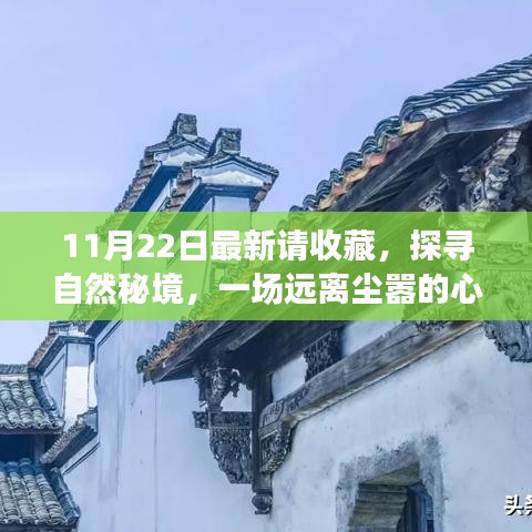 11月22日探尋自然秘境之旅，心靈啟程，珍藏美好瞬間