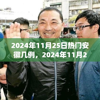 2024年11月25日安徽疫情最新熱點解讀，病例數(shù)量及防控措施