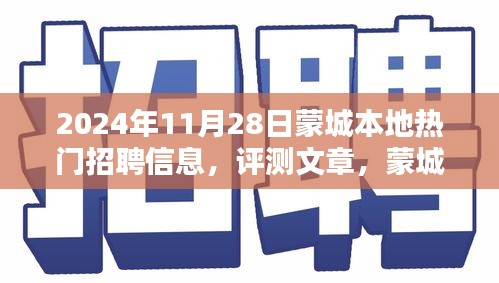 蒙城本地?zé)衢T招聘信息深度解析與評測報告（2024年11月28日）