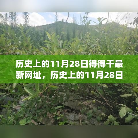 歷史上的11月28日，追尋自然美景之旅，探索內(nèi)心寧靜港灣的新網(wǎng)址揭秘