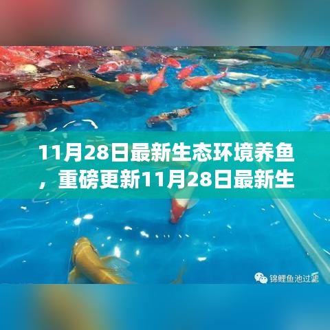 揭秘最新生態(tài)環(huán)境養(yǎng)魚秘籍，打造生態(tài)魚池新境界！