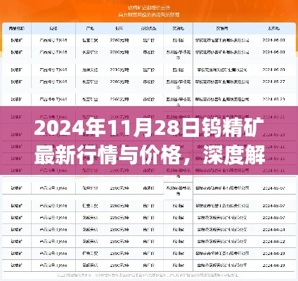 深度解析，2024年11月28日鎢精礦最新行情與價格展望