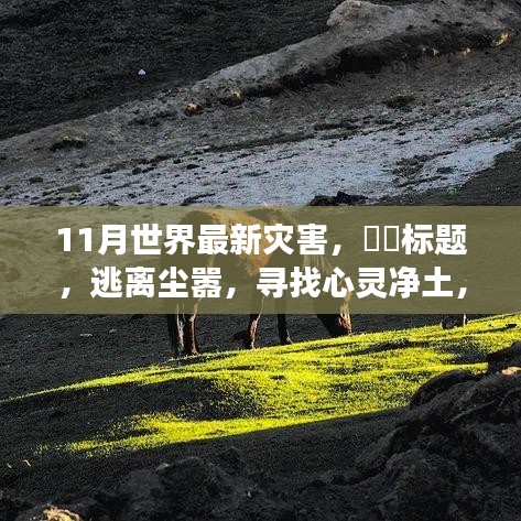 十一月探險之旅，災難邊緣的求生與心靈凈土的追尋