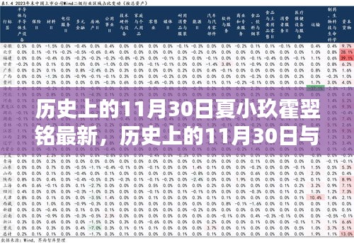 歷史上的11月30日與夏小玖霍翌銘，深度解讀與最新觀點闡述