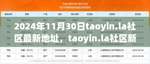 2024年11月30日taoyin.la社區(qū)新址展望，機(jī)遇與挑戰(zhàn)并存