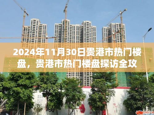 貴港市熱門樓盤探訪全攻略，購房指南（2024年11月30日）