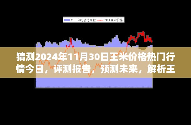 獨家解析，王米價格行情預測至2024年11月30日，今日熱門行情與未來展望評測報告