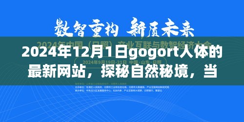 探秘gogort人體奧秘，心靈遇見奇妙旅程的秘境網(wǎng)站（最新更新）