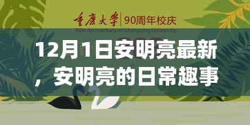 安明亮日常趣事，溫馨時光回顧，12月1日的精彩瞬間