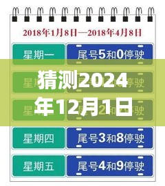 上海未來限行猜想，高架暢想曲與暖心故事，展望2024年12月的新規(guī)定