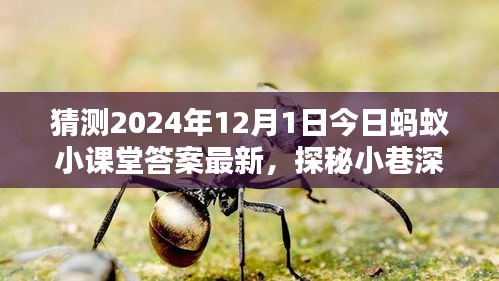 探秘螞蟻小課堂答案背后的神秘小店，2024年12月1日小巷深處的獨(dú)特風(fēng)味揭曉